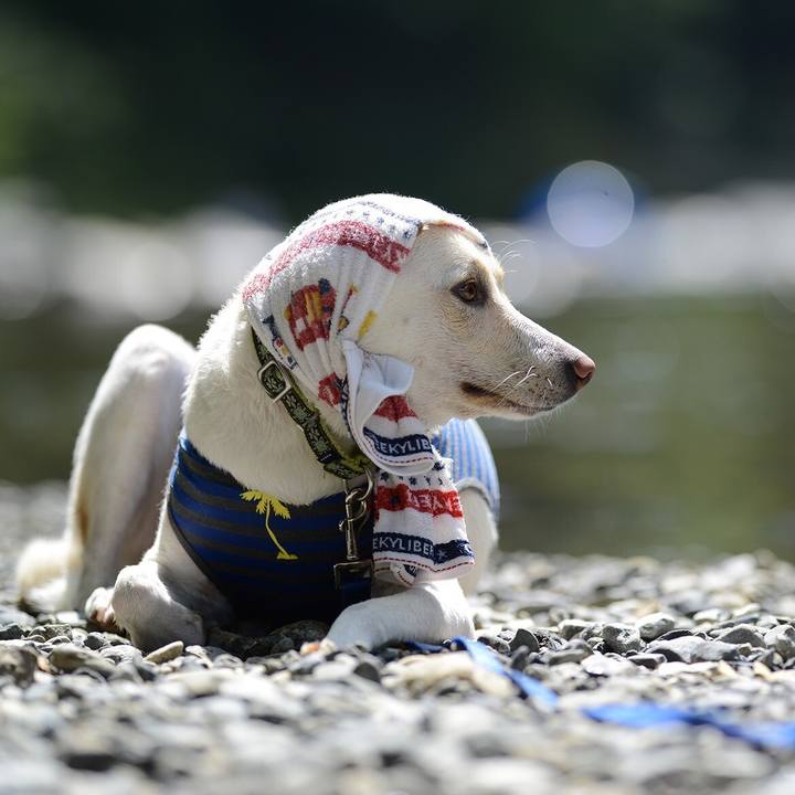 89fbac06 efc1 4781 82be 35493aa9547d