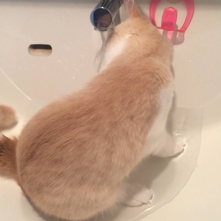 89fbac22 22c6 4fba aa1b 453d9d79b05d