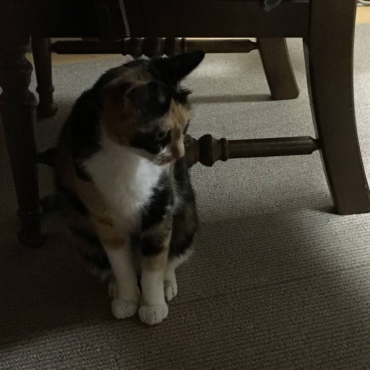 89fc43d1 c5cc 4e8c b4d7 3607ab077a12