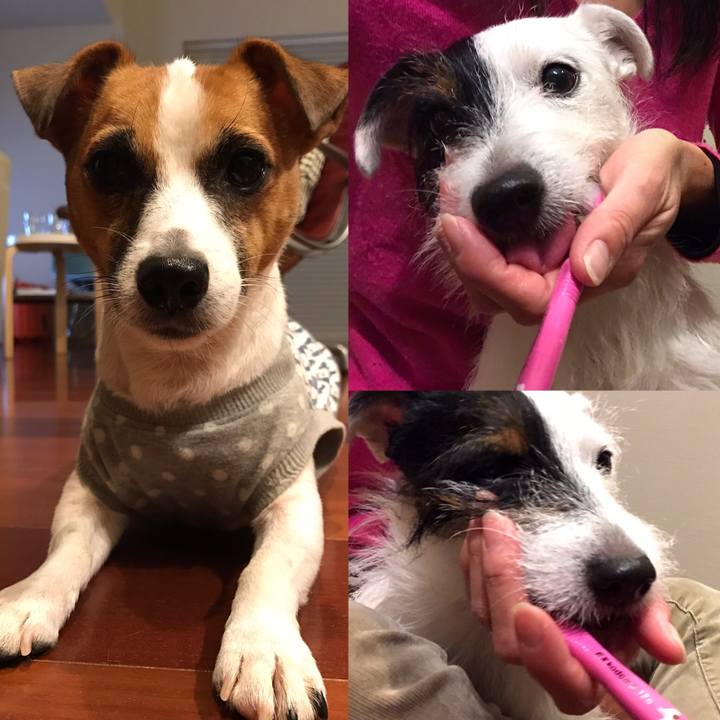 89fe0181 3ed9 4186 a0be a172b780ddf8