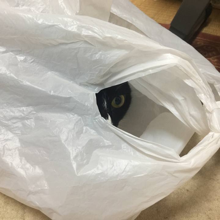 89fe43d6 b10a 4321 8eb0 18b0424a2a30