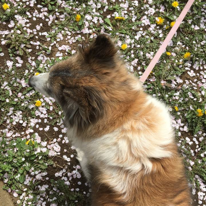 89fe5f9a e033 4b72 98c3 d6abb2d332b3