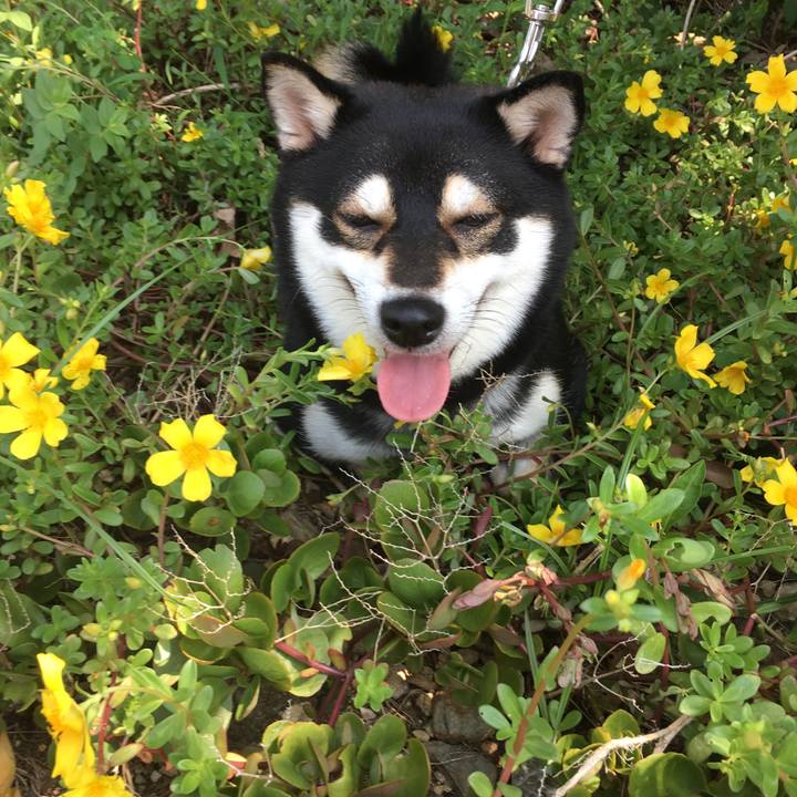 89fe7538 6b3b 4e1d 8fc7 147b460e2655