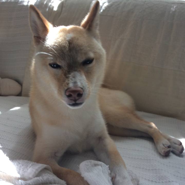 89fe8681 149d 4035 ad2c 7a6fb0664dc2