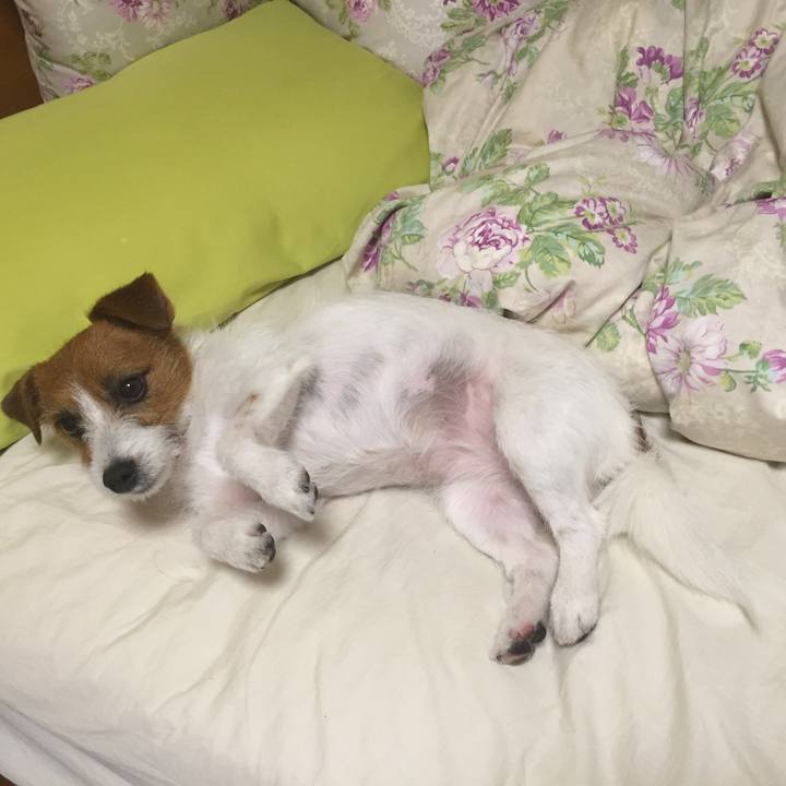 89fed34e 6bd6 4fca 8638 f25c589cb081