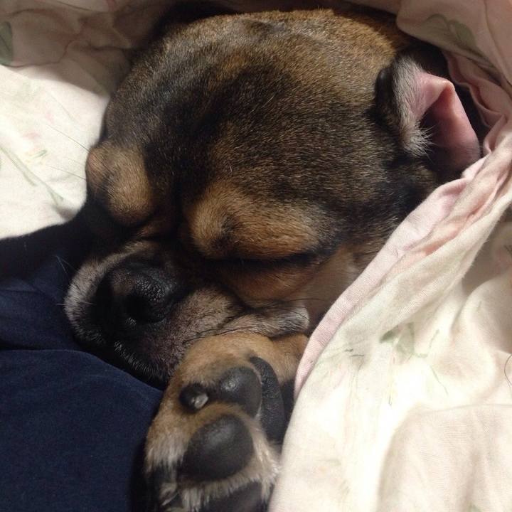 89ffb55b fdce 4c68 af5d f09e8a91adde