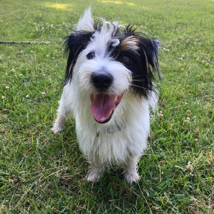 8a007796 e893 499a a32b 6b7bb2a60f39