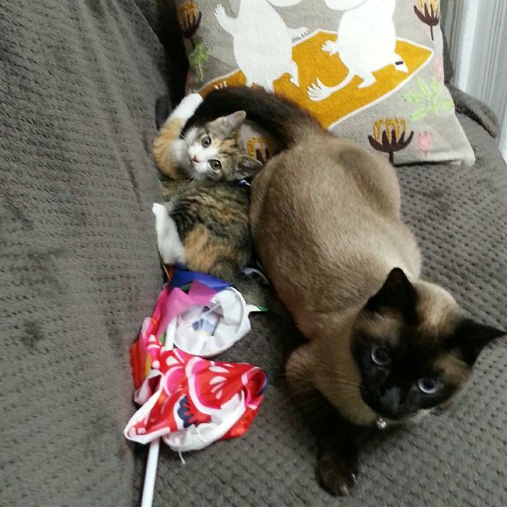 8a008437 2964 4d32 9d77 5905cb56040c