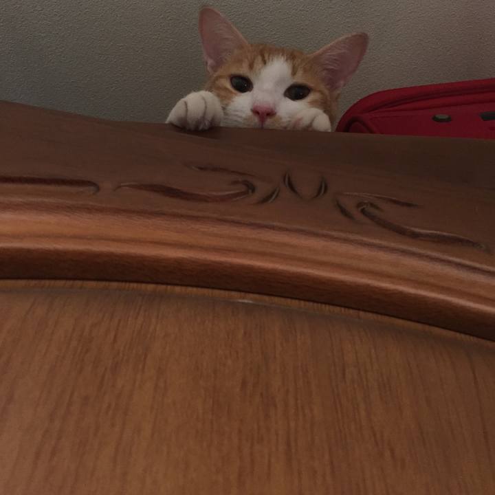 8a00849f bf47 4ffe 8447 ddcd76e17454