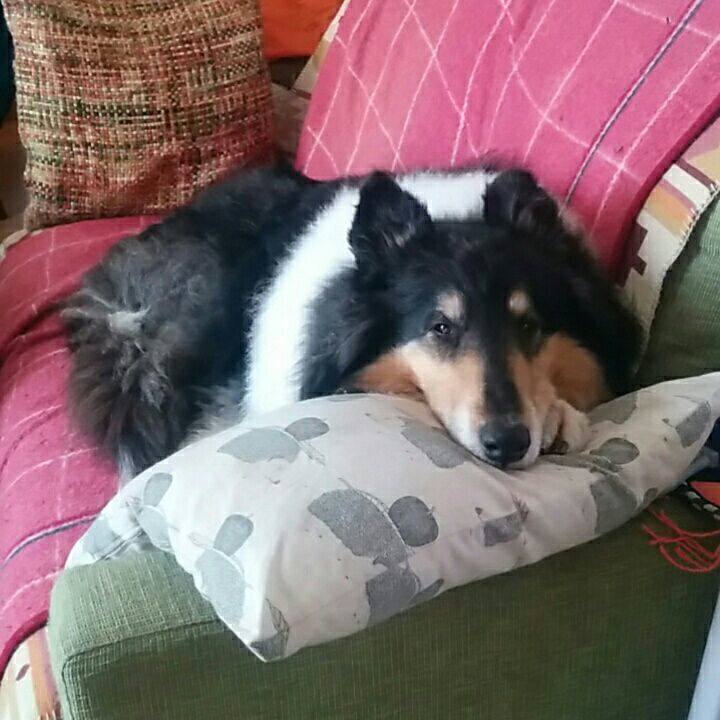 8a00fac3 09a0 4524 ac13 0c58e242fc81