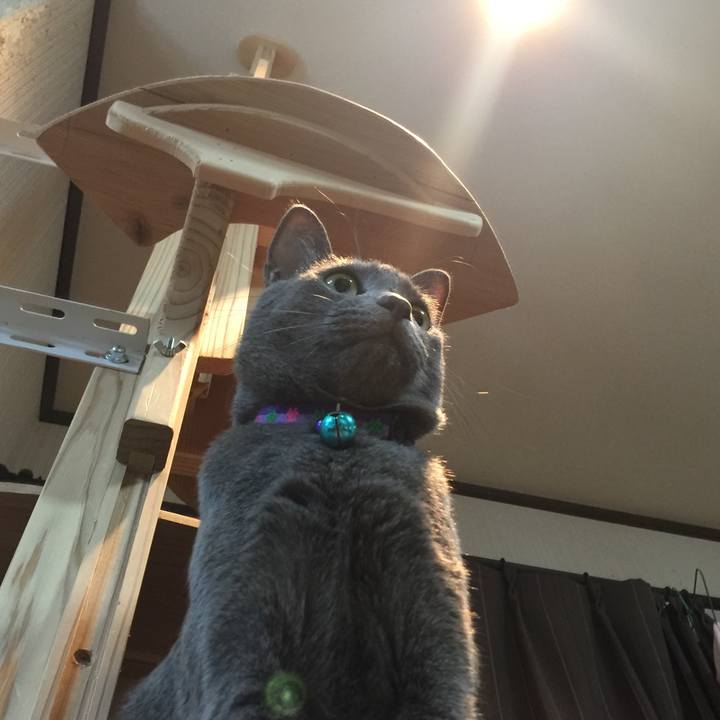 8a0115c8 d3de 449e a38c ada2cc5cd4a8