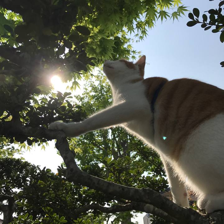 8a01438a fcab 477f ade1 ea9ef07763b2