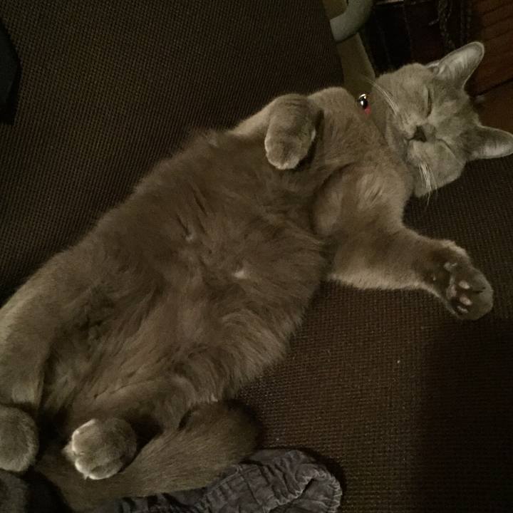 8a020431 67f4 4aa1 b298 433e8c7970f0