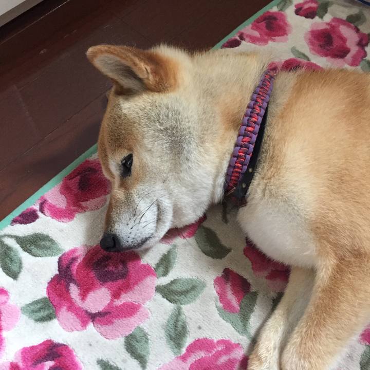 8a02489d 4314 4a81 ad0d 757a61261106