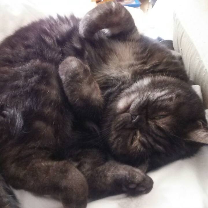 8a0365ca 6a6f 4f05 8204 257d579902af