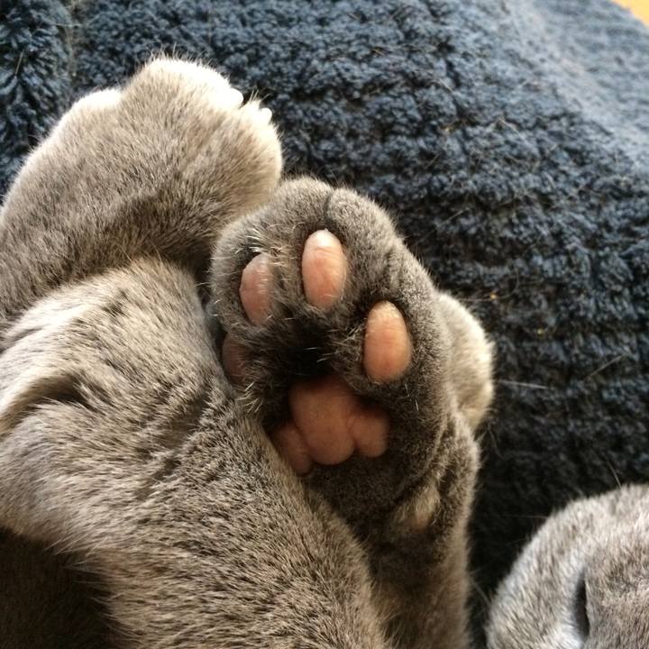 8a0441dd 62a9 4d95 a44d 637a486217c7