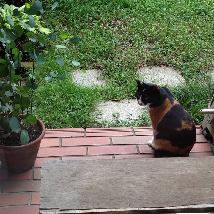 8a04a57c 8fdc 458b 98e2 af4250f2a749