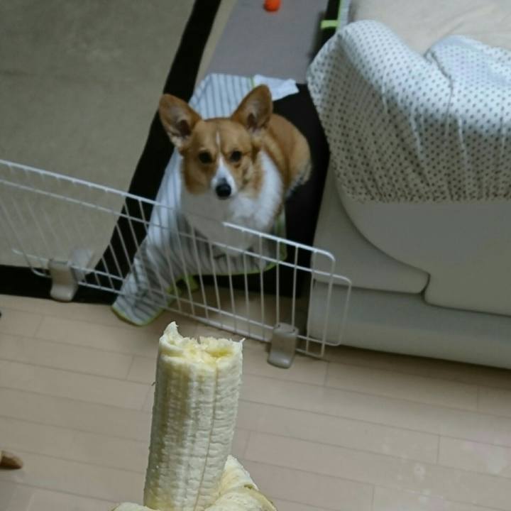 8a0571e7 5eb2 4118 b246 ba79cf6270de