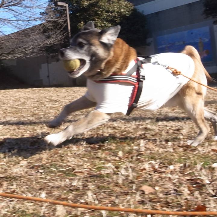 8a05ba85 3104 4758 bd82 100ef36a9000