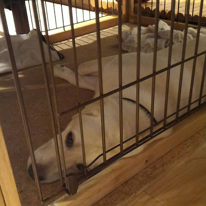 8a069c7e fee9 4938 8451 ec48a71c2e29