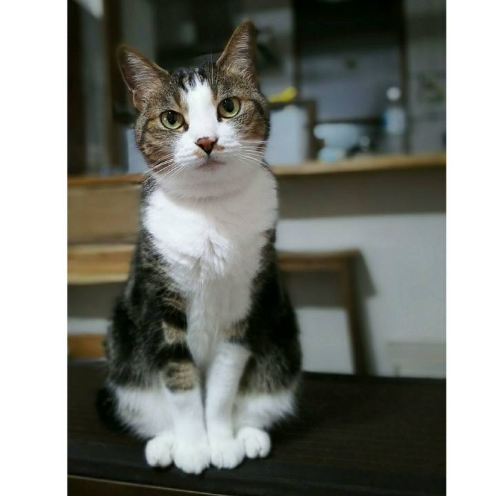 8a0735f3 8e48 4c18 8ebe 9b14247ea83d