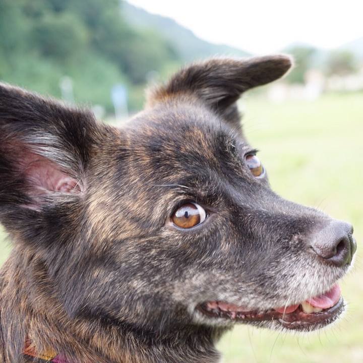 8a077297 dfd7 47c3 9d7c 5b6d5b606bcc