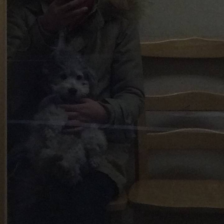 8a07755d 93dc 4235 a202 05899095edbd