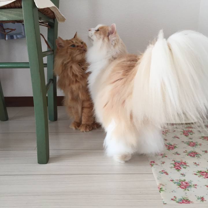 8a08b4b6 cd27 4b5d a6a5 be1a39cf1f76