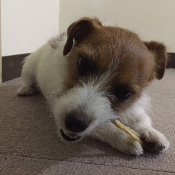 8a08dc54 697c 4d34 ae24 1708578b5ad2