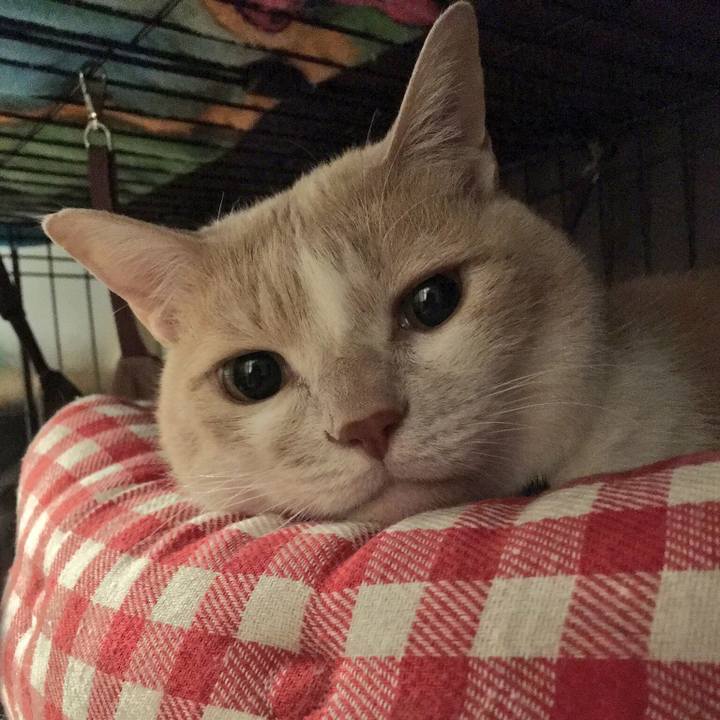 8a094f5d 153d 4b35 bbe9 4abb444428f4