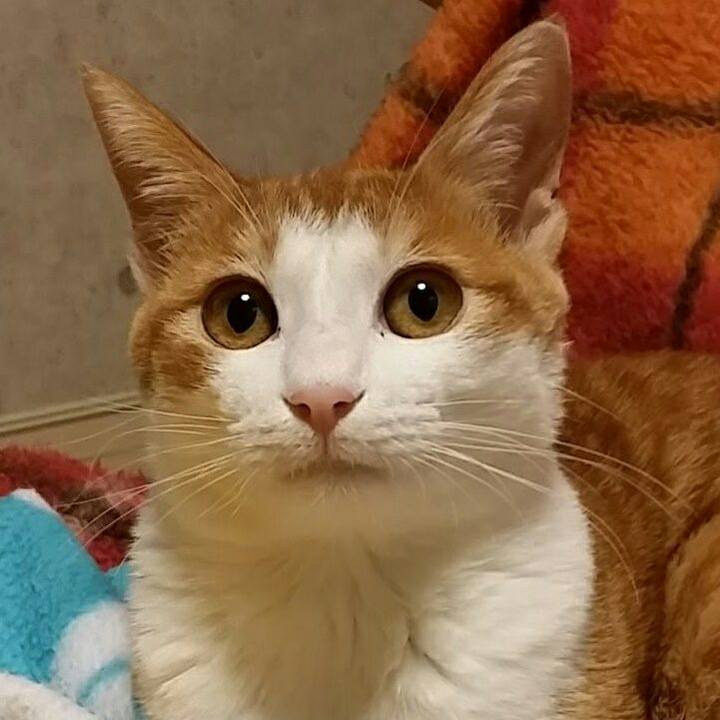 8a097701 a167 48de 9010 bf711da47f0b