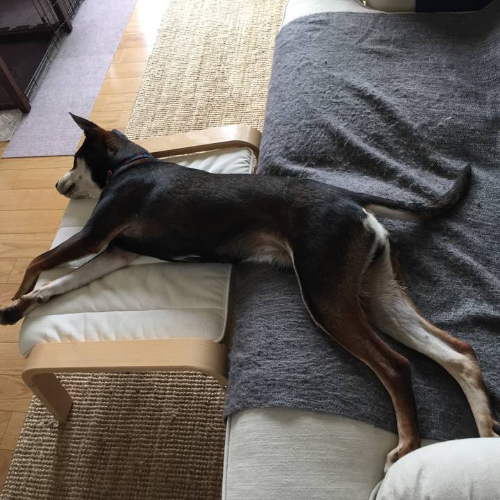 8a09b2f3 8ce6 4ff8 afc4 718d701c3557