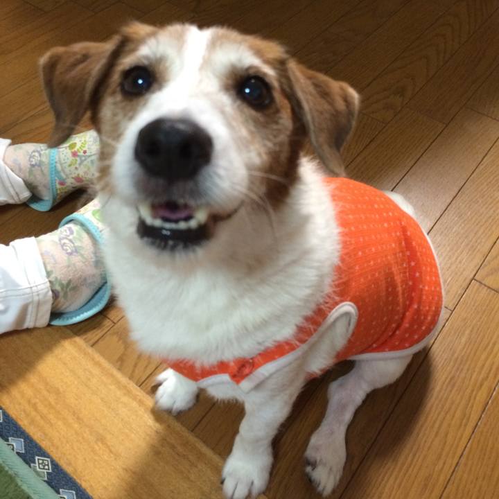 8a09c2e9 521d 43b8 97d6 ce9015b845c9