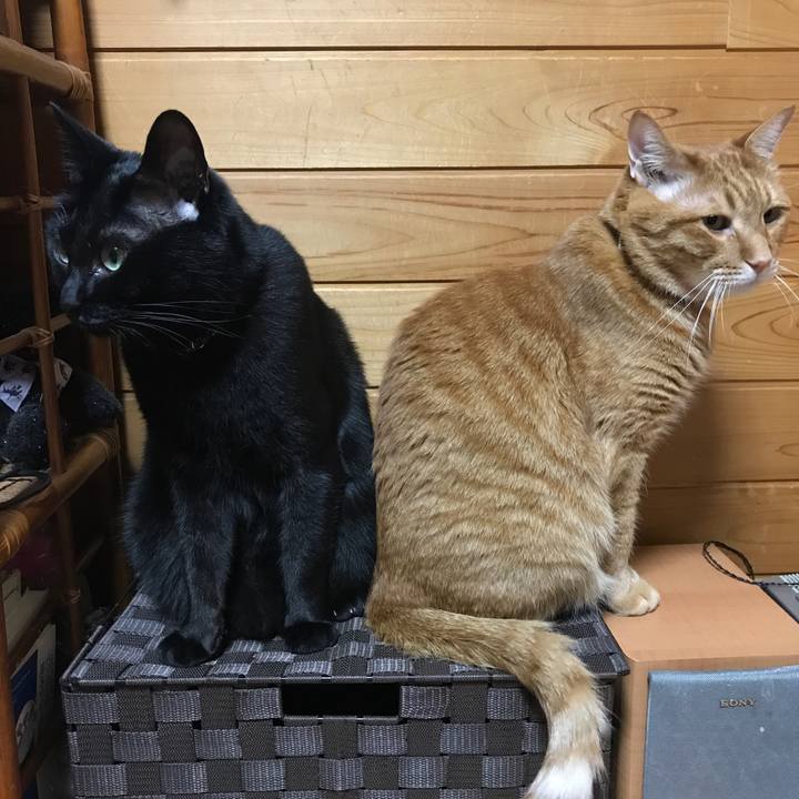 8a0a012b 8f5d 4ca6 9e64 42aa36a17122