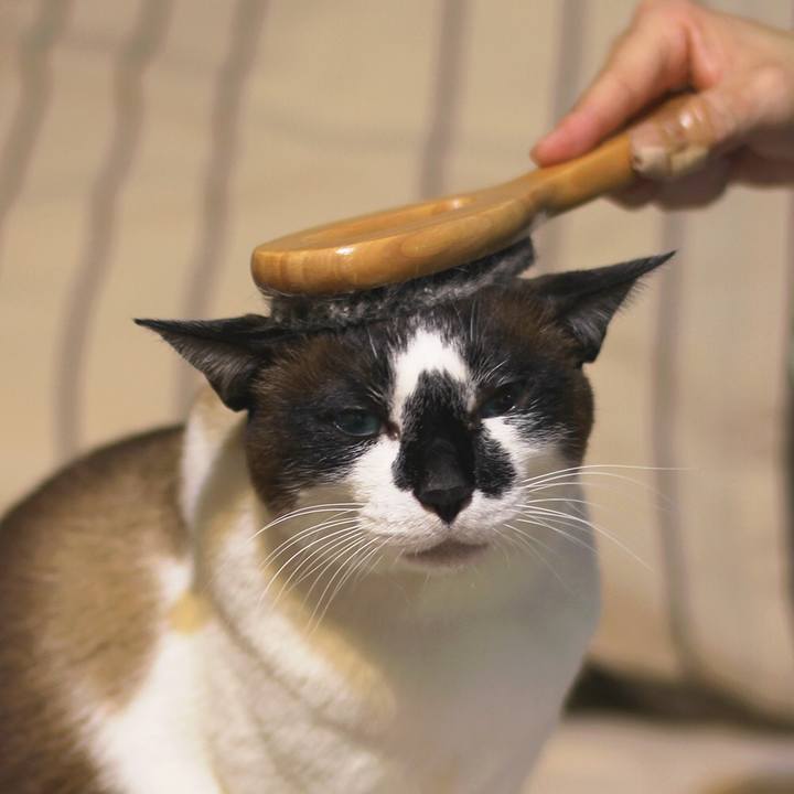 8a0a2053 26d3 46c7 92ee e469bd30b7ab