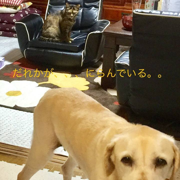 8a0a8ab5 1772 4235 923b 803747dff09c