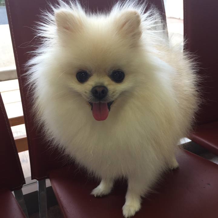 8a0ae368 fa6c 41b2 a4a9 72fdde8f4f7d