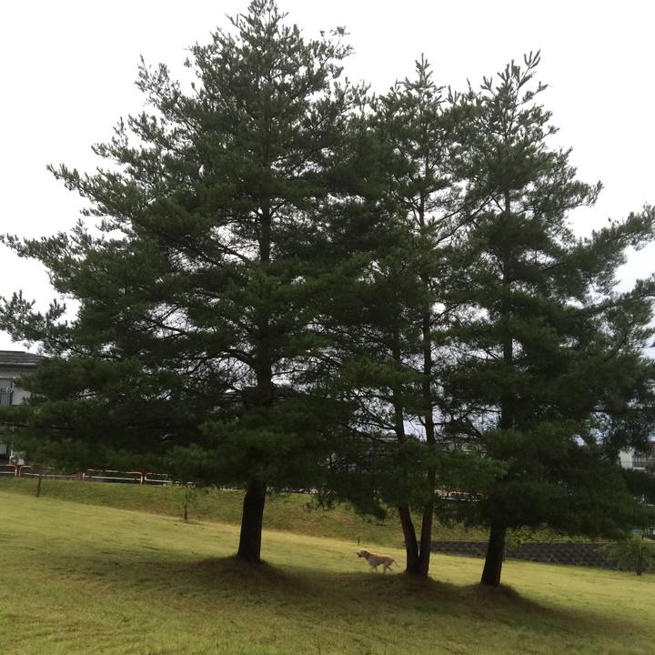 8a0bcbc7 075d 473a 9ece 411c23f6730f