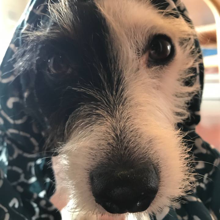 8a0d52a4 91b5 41bb 8c0e d4e0251a994c