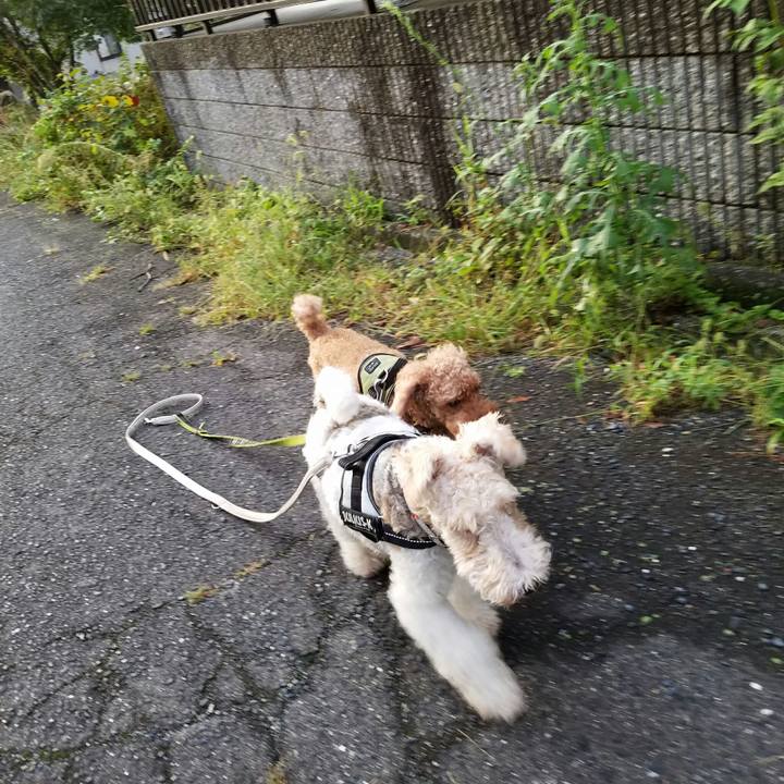 8a0e688e 5781 4af0 be82 6020ce76417b