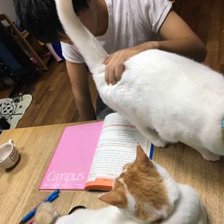 8a0f9788 ee75 4a5e 93e2 0ed21acd625d