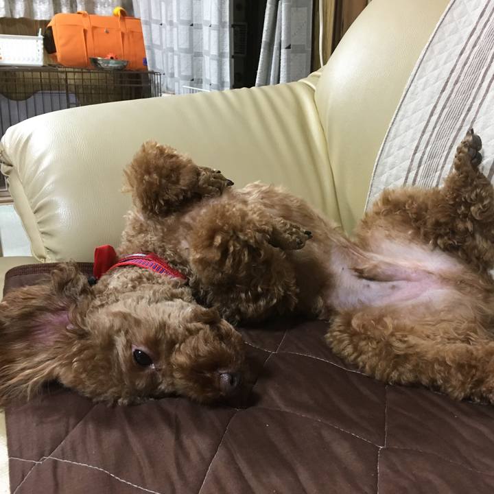 8a10ccba 5e91 4b22 a011 7a9fcbd43e1b