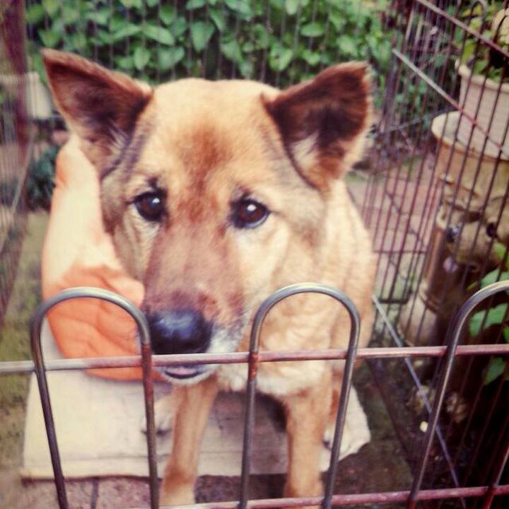 8a112f78 97fe 4398 9b71 643fe6356ab2