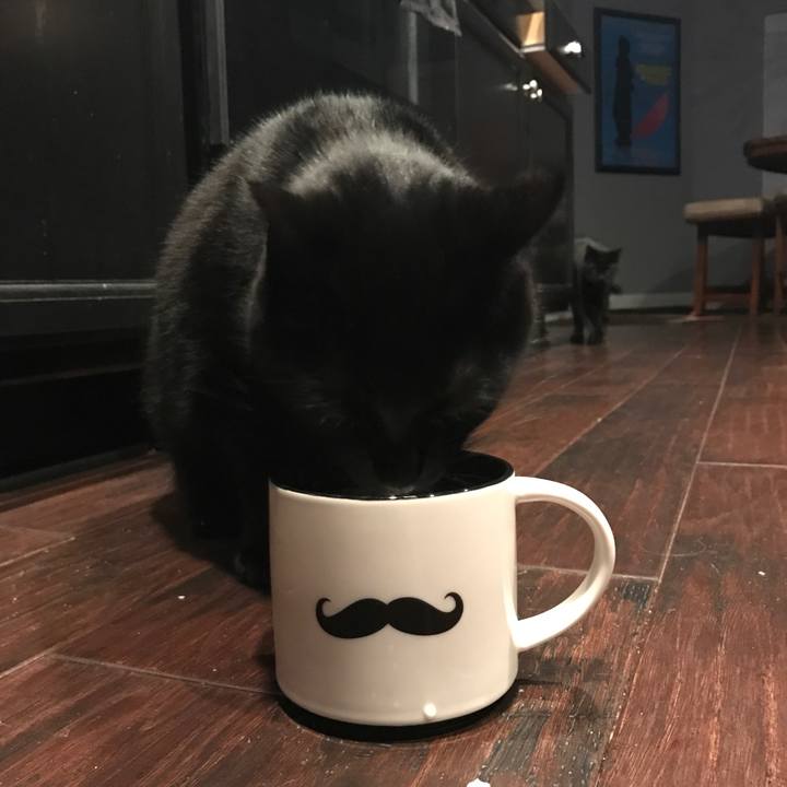 8a1181eb abf8 439e 97b8 66154e86dc55