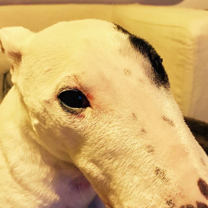 8a11afdb a5d1 49e4 8ea6 f0a90861b7a3