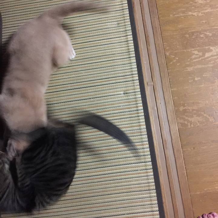 8a121a07 4d60 4b5b bad9 e7cfbd04335f