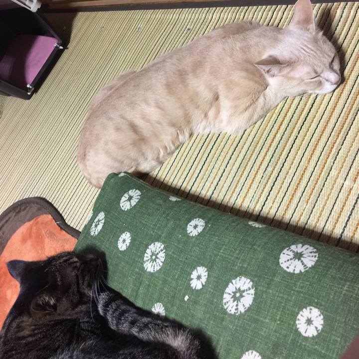 8a128c4f 9670 4458 8829 21934a8f3788