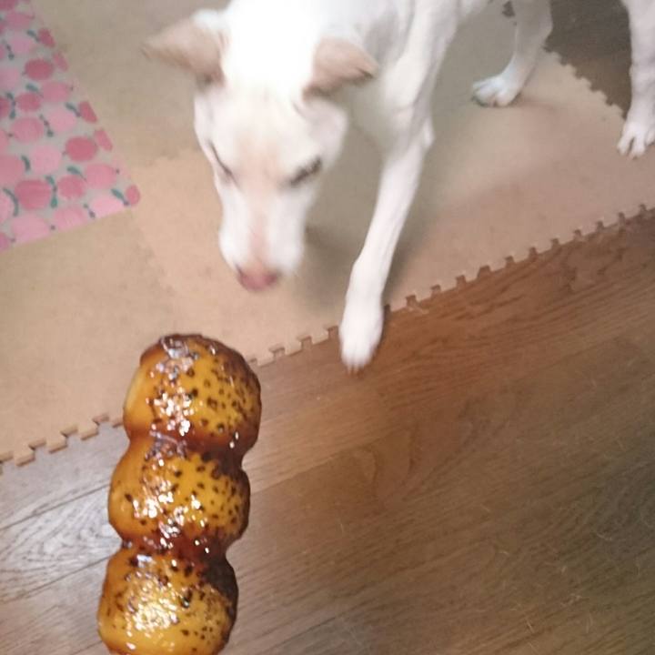 8a130f5f 9df3 4aa5 9bb2 0ce6409af83f