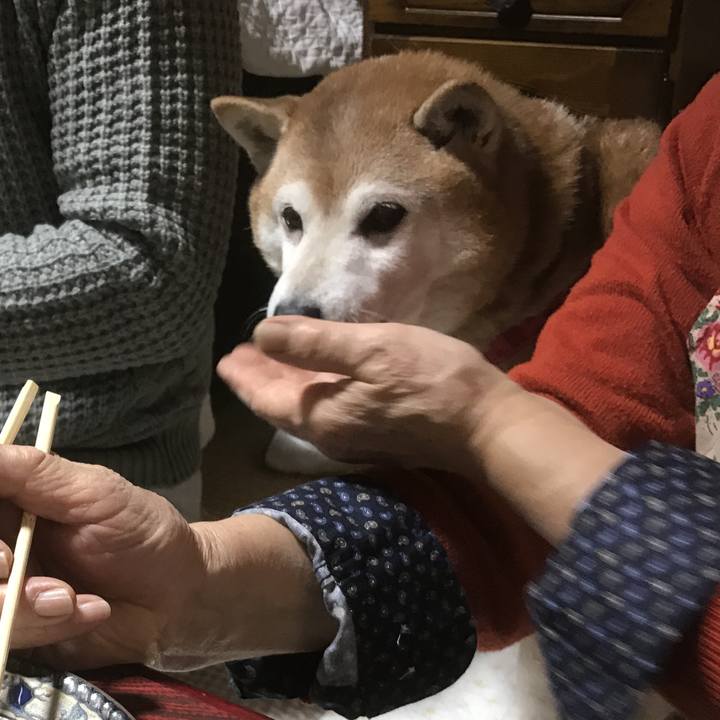 8a133438 0867 4922 b629 6c2de43c9037