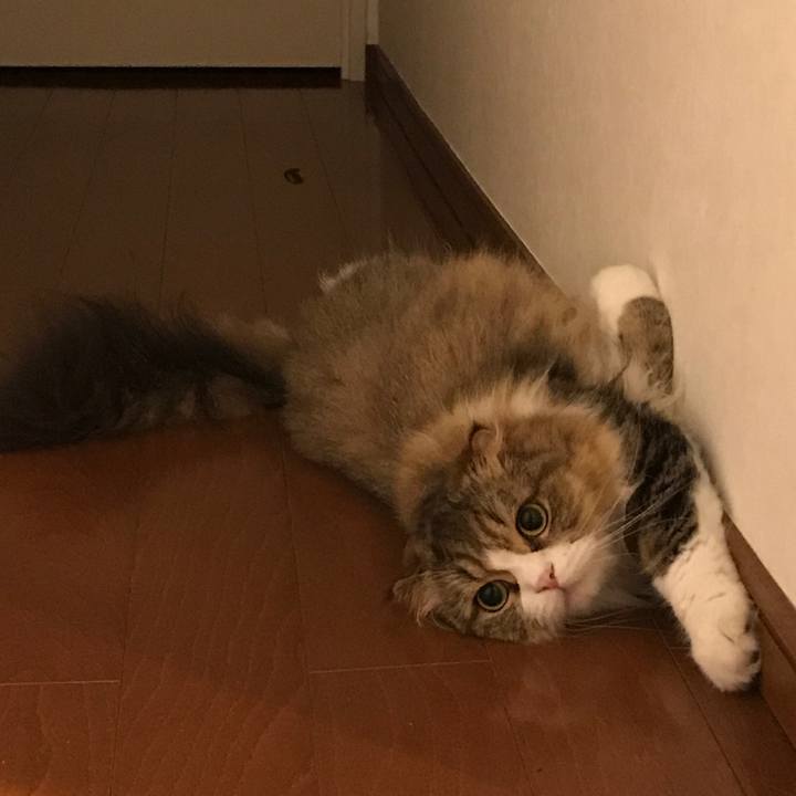 8a1344d0 537c 4627 bacd e26d5b4a5413